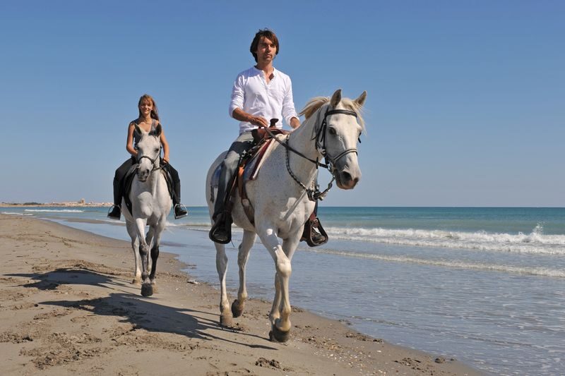 Horseback Riding Adventure in Fethiye - What the $53.79 starting price gets you