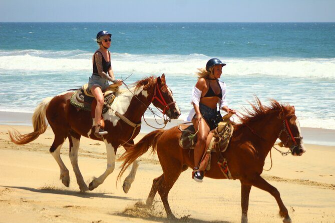 Horseback Riding Adventure in Playa Migriño with Tequila Tasting - Introduction to the Tour Experience