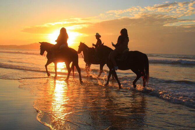 Horseback Riding Adventure in Punta Mita Nayarit - Who Will Love This Experience?
