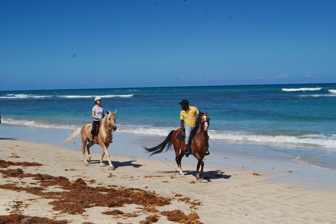 Horseback Riding Adventure Punta Cana - Pricing and Booking Options