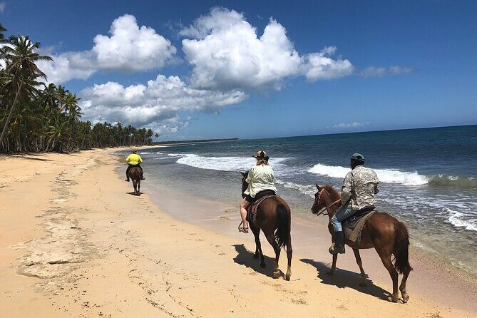Horseback Riding Adventure to Macao Alto Beaches in Punta Cana - A Deep Dive Into the Horseback Riding Experience