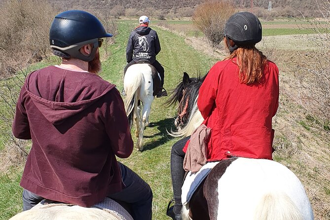 Horseback Riding Adventure Tour Through Brasov Landscape - Tour Description