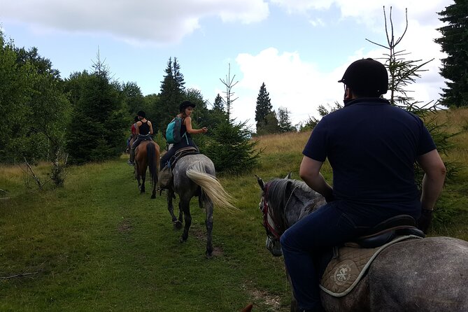 Horseback Riding Adventure Tour Through Brasov Landscape - Inclusions