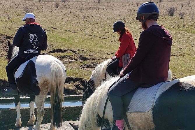 Horseback Riding Adventure Tour Through Brasov Landscape - Meeting and Pickup