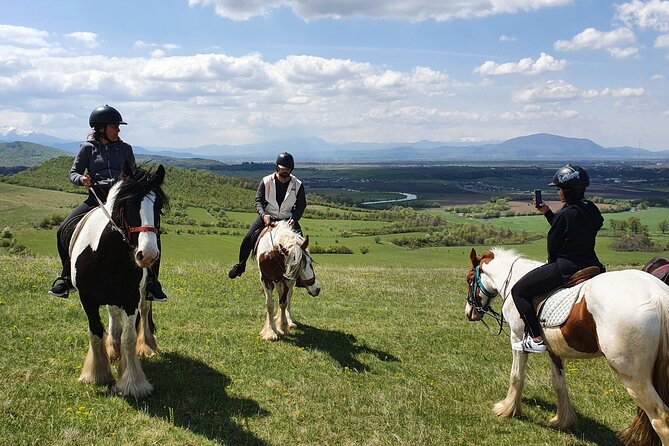 Horseback Riding Adventure Tour Through Brasov Landscape - Price and Reviews