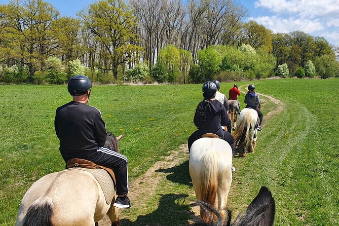 Horseback Riding Adventure Tour Through Brasov Landscape - Frequently Asked Questions