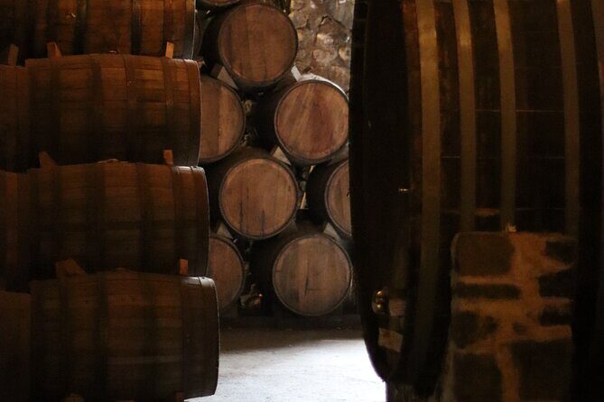 Horseback Riding among Agaves and Food: Experience the Morning in Amatitan - Practical Tips for Travelers