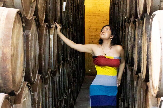 Horseback Riding among Agaves and Food: Experience the Morning in Amatitan - The Sum Up