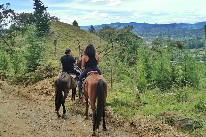 Horseback Riding and ATVs Tour: Two Experiences – One Remarkable Adventure - Experience Highlights