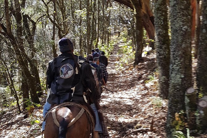Horseback Riding and Camping in the Mountains - The Perfect Mountain Getaway