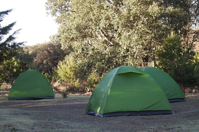 Horseback Riding and Camping in the Mountains - Safety Tips for Horseback Riding