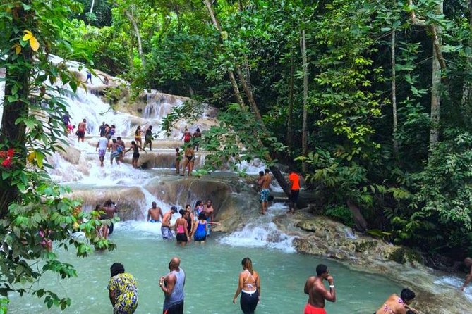 Horseback Riding and Dunns River Falls - Tour Overview