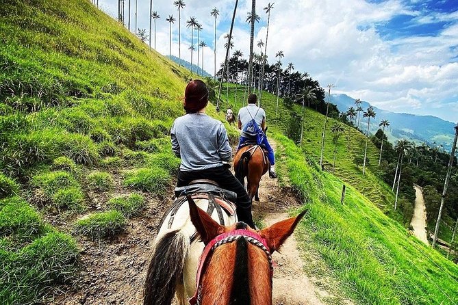 Horseback Riding and Excursion in Cocora Valley - Booking Details and Requirements