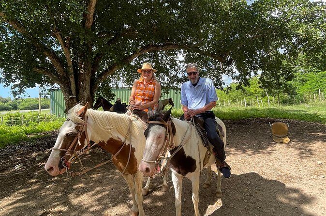 Horseback Riding and Taíno Cave Exploration - Final Thoughts: Is It Worth It?