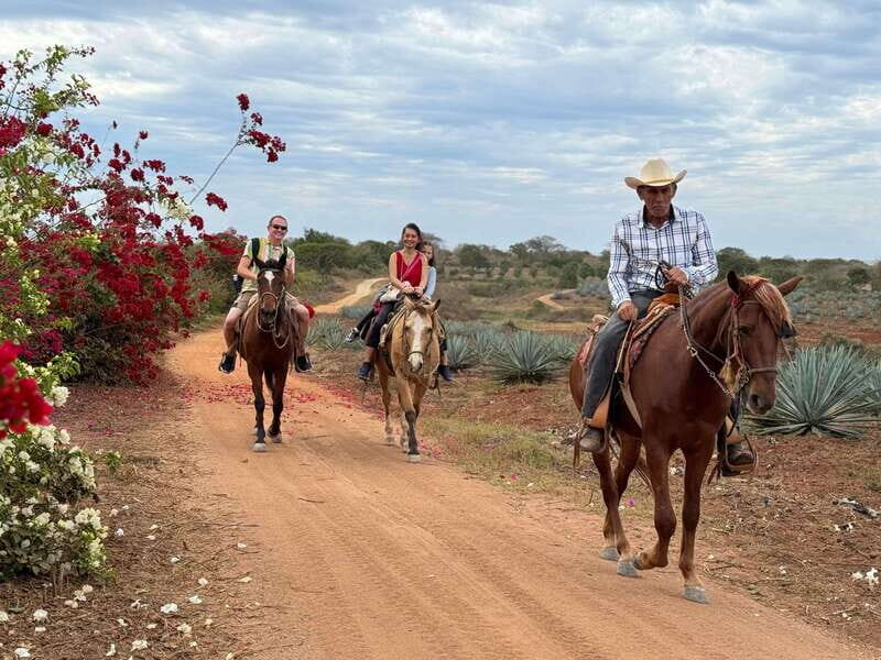 Horseback riding and Temazcal combo with lunch and mezcal - Who Will Love This Tour?