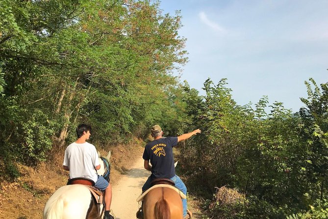 Horseback Riding and Wine Tasting - Tour Highlights