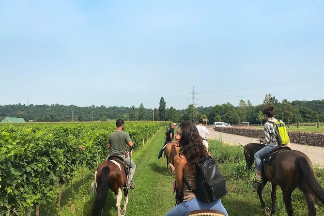 Horseback Riding and Wine Tasting - Logistics and Meeting Point