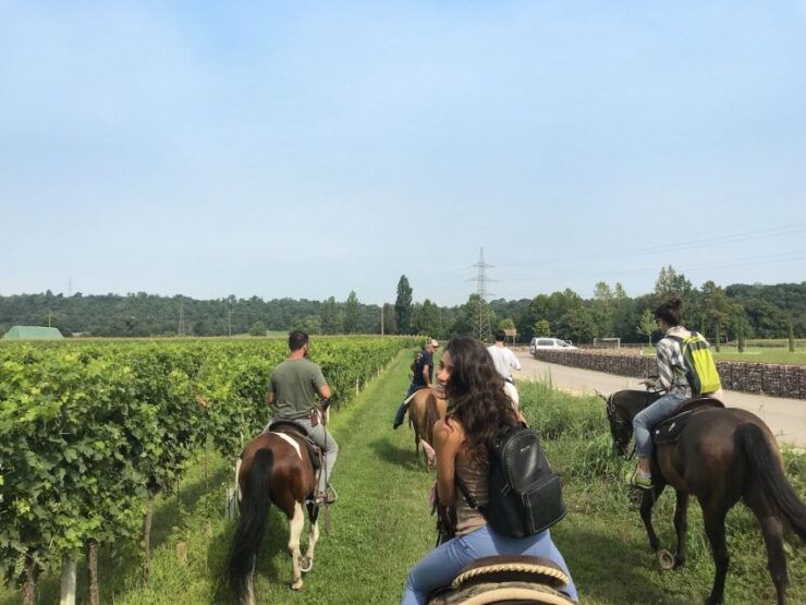 Horseback Riding and Wine Tasting in the Land of Custoza - Activity Details