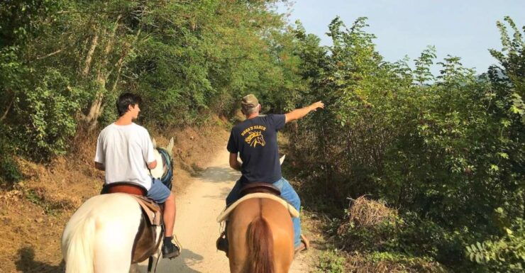 Horseback Riding and Wine Tasting in the Land of Custoza - Itinerary