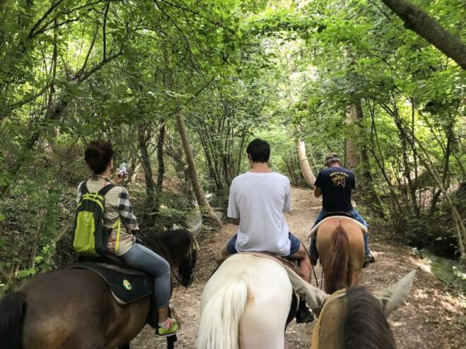 Horseback Riding and Wine Tasting in the Land of Custoza - Experience