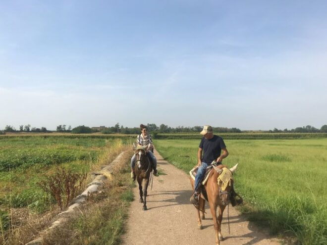 Horseback Riding and Wine Tasting in the Land of Custoza - Reservation Details