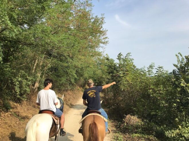 Horseback Riding and Wine Tasting in the Land of Custoza - The Sum Up
