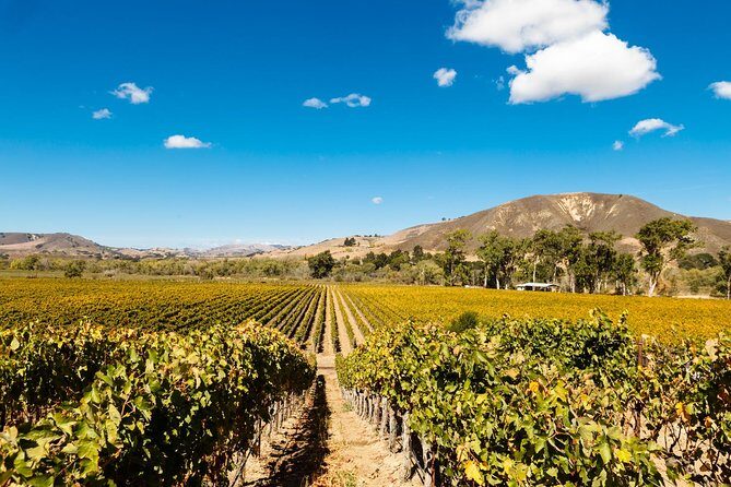 Horseback Riding and Wine Tasting Tour - Who Will Love This Tour?