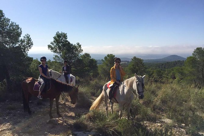 Horseback Riding and Wine Tour - Tour Overview