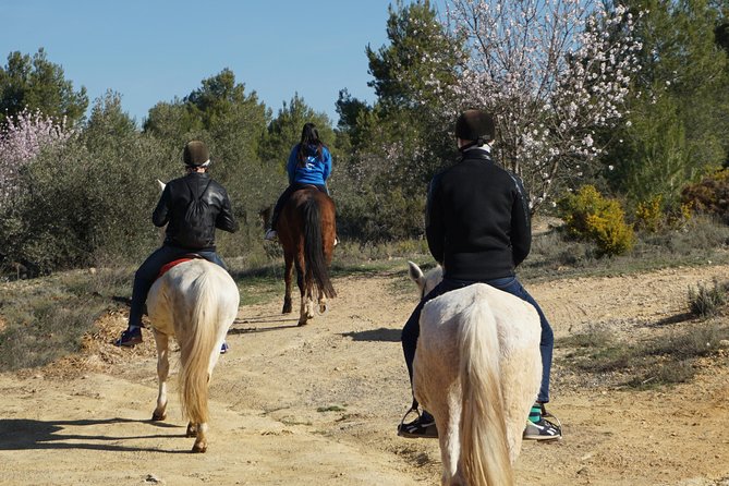 Horseback Riding and Wine Tour - Meeting Point and Time