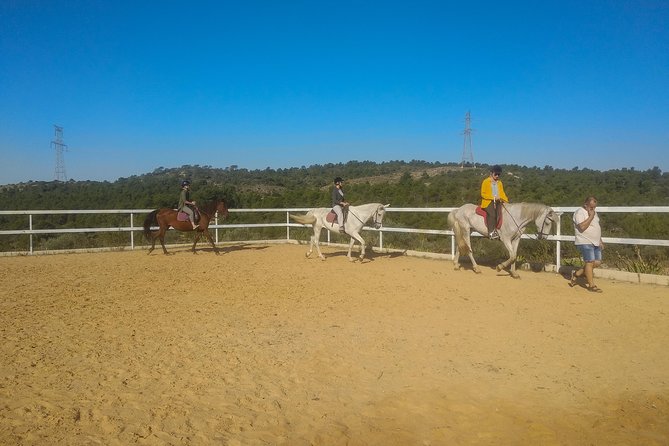 Horseback Riding and Wine Tour - What To Expect