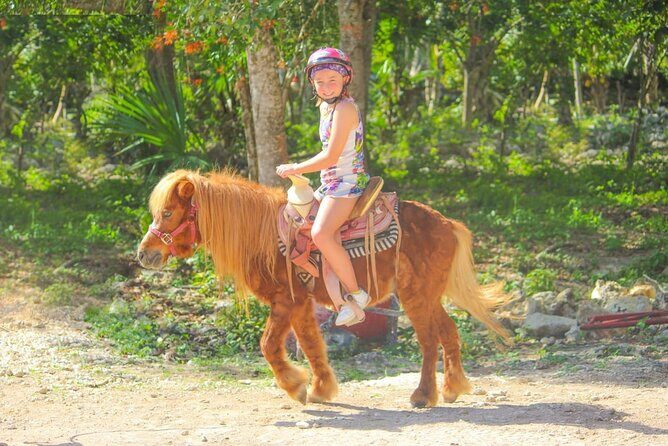 Horseback Riding and Zipline Jungle Adventure - Good To Know