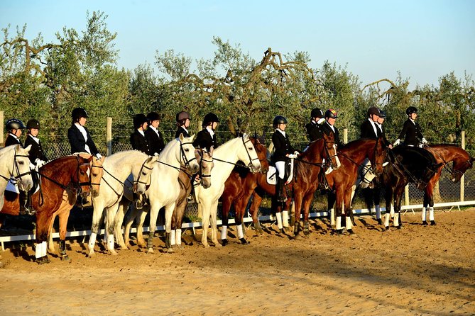 Horseback Riding Around Doñana - Choosing a Spanish Horse