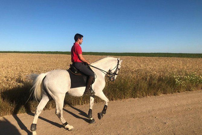 Horseback Riding Around Doñana - Scenic Walk Through the Countryside