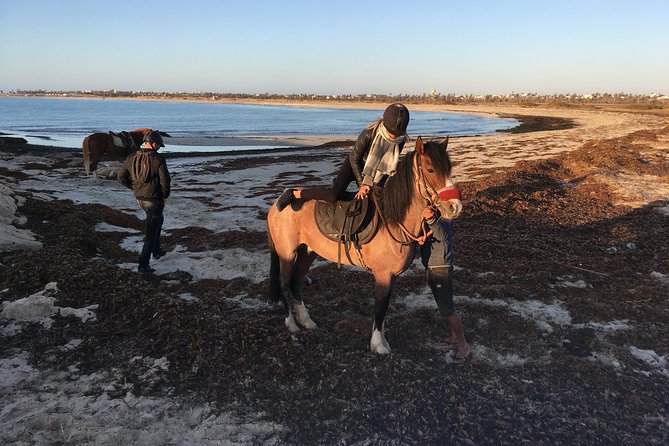 Horseback Riding at Sunrise 3h - Activity Details