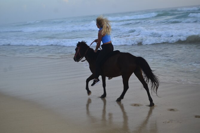 Horseback Riding at Sunrise on the Beach of Punta Cana - Reviews
