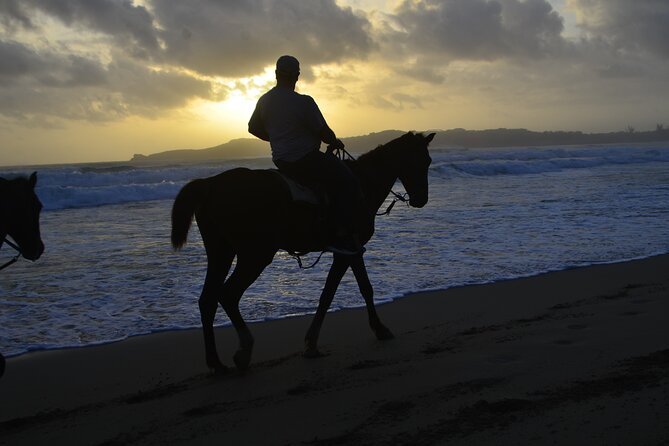 Horseback Riding at Sunrise on the Beach of Punta Cana - Common Questions