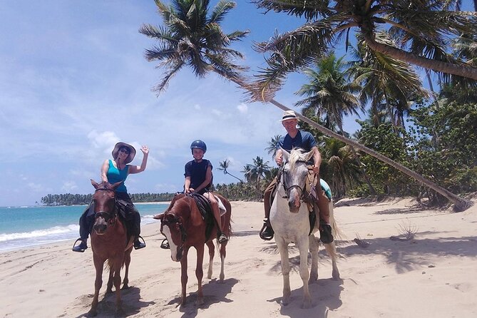 Horseback Riding at the Beach in Punta Cana - Pricing and Discounts