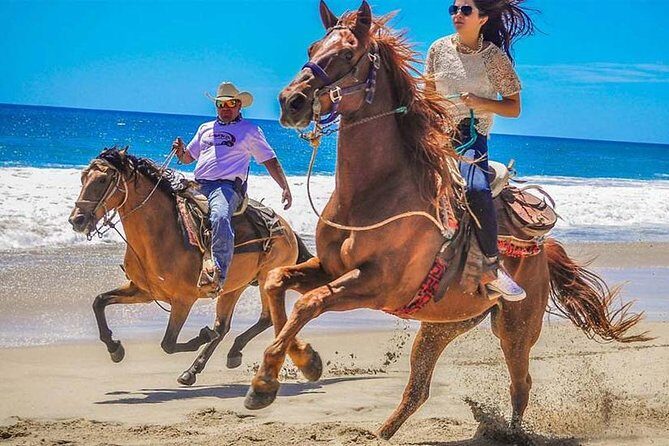 Horseback Riding & ATV Combo! Mountain Trails & Beautiful Beaches of BAJA! - Good To Know