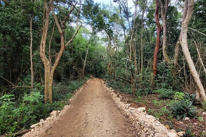 Horseback Riding, ATV & More in the Mountains of Montego Bay - Experience Thrilling Horseback Riding