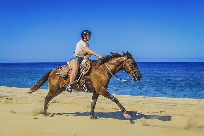 Horseback Riding Beach and Desert in Cabo by Cactus Tours Park - Overview and Details