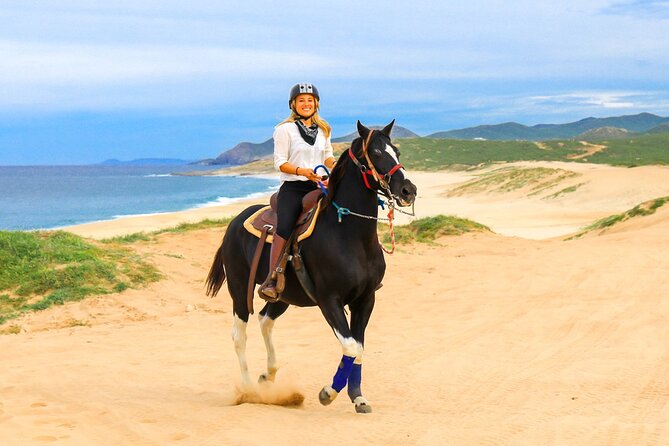 Horseback Riding Beach and Desert in Cabo by Cactus Tours Park - Small-Group Riding Excursion