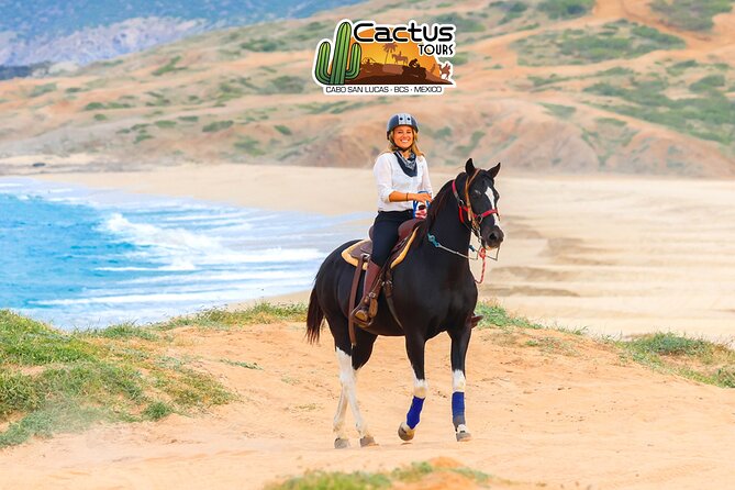 Horseback Riding Beach and Desert in Cabo by Cactus Tours Park - Limited to 10 People