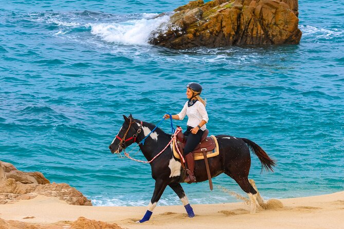 Horseback Riding Beach and Desert in Cabo by Cactus Tours Park - Riding Through Rugged Landscapes