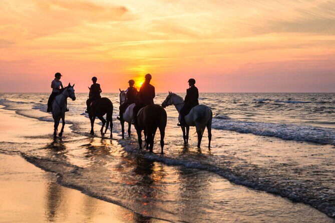 Horseback Riding Beach - What to Expect from the Tour