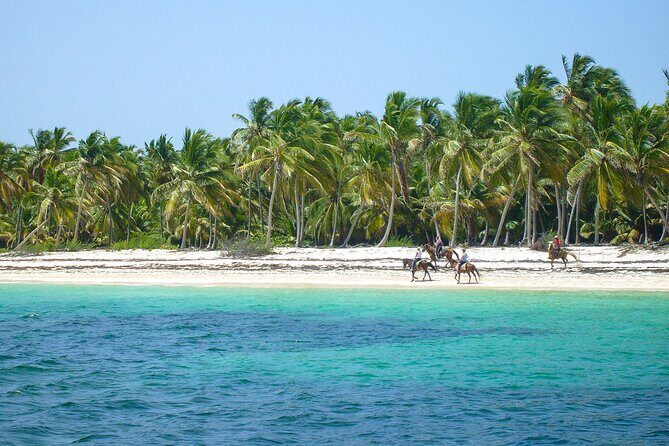 Horseback Riding Beach - Who Will Love This Tour?