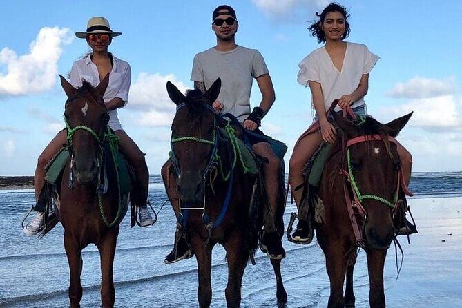 Horseback Riding Beach - The Sum Up