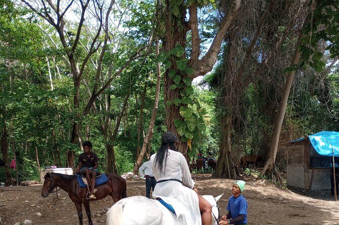 Horseback riding, Blue hole or Dunn's River Combo - Exploring the Itinerary: What to Expect