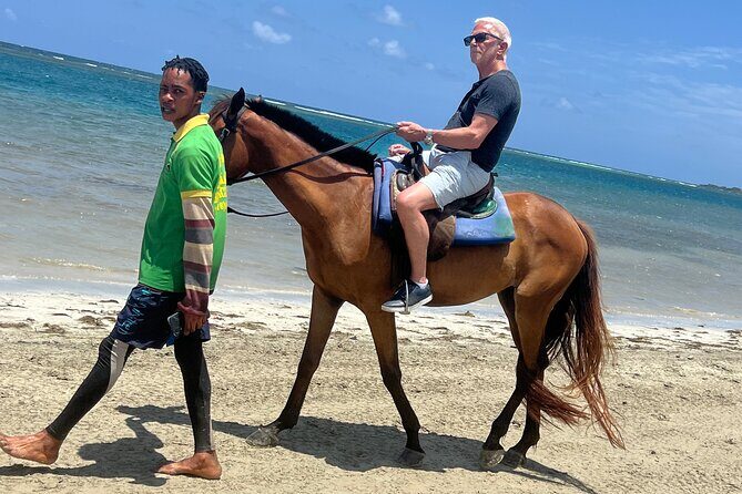Horseback riding & bluehole secret falls from Montego Bay - Good To Know