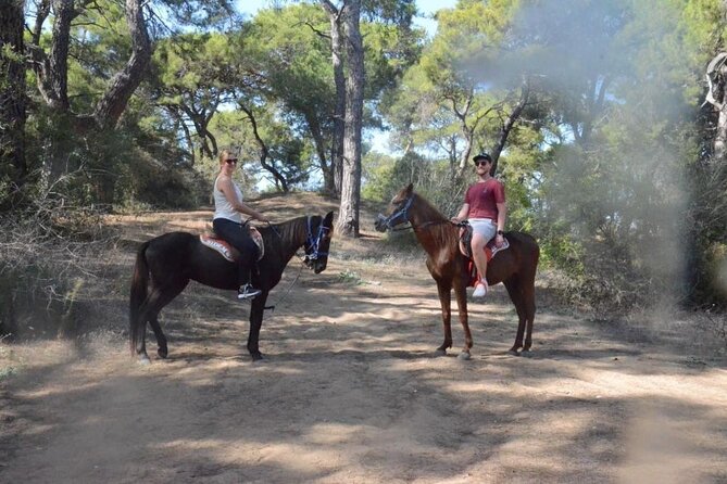 Horseback Riding by Beach or Forest in Manavgat Side - Meeting and Pickup Details