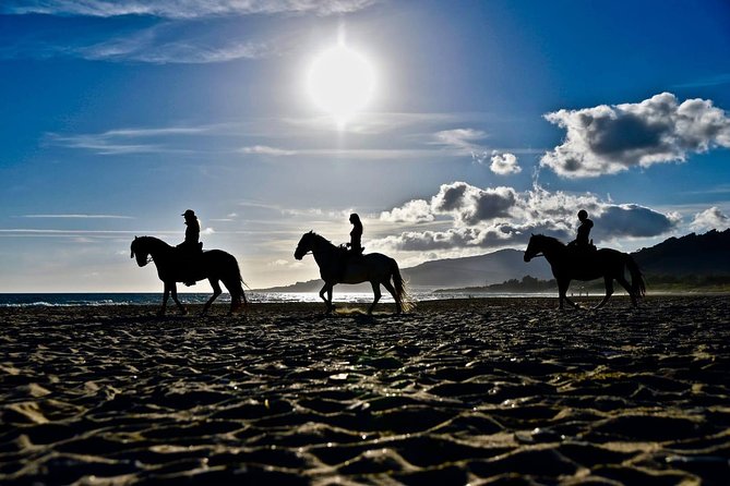 Horseback Riding by the Beach or Mountain in Tarifa, Spain - 1 to 2 Hrs - Common Questions